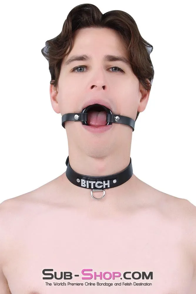 1442A-L-SIS      Pretty Sissy Hussy Smooth Plastic Ring Gag. Large Mistress Sessions Ring