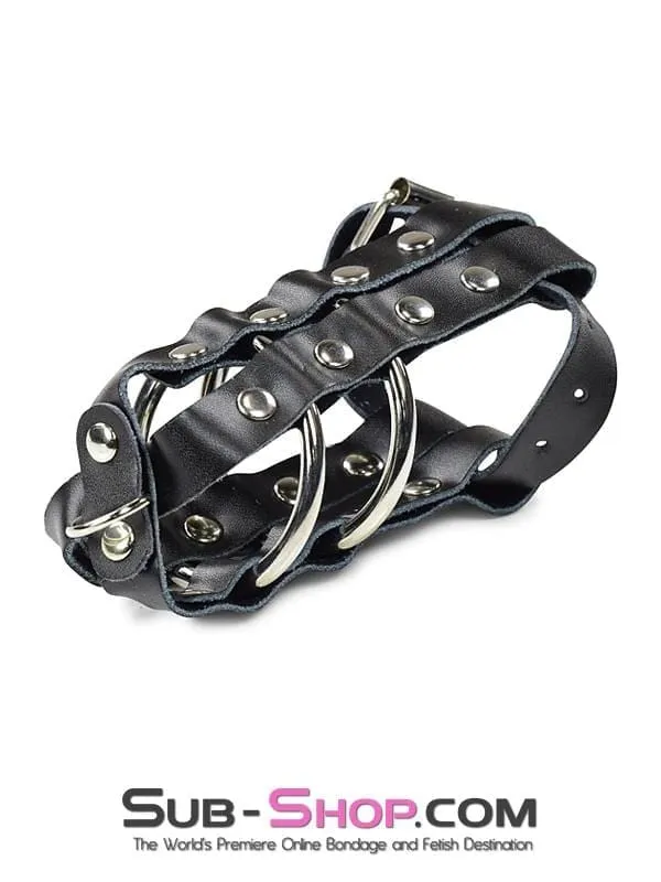 1797DL-SIS      Sissy Minx Lockable Cock & Balls Cage with Lead Ring Tip