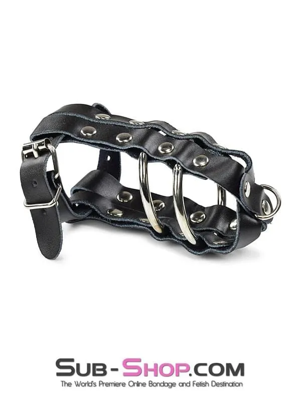 1797DL-SIS      Sissy Minx Lockable Cock & Balls Cage with Lead Ring Tip