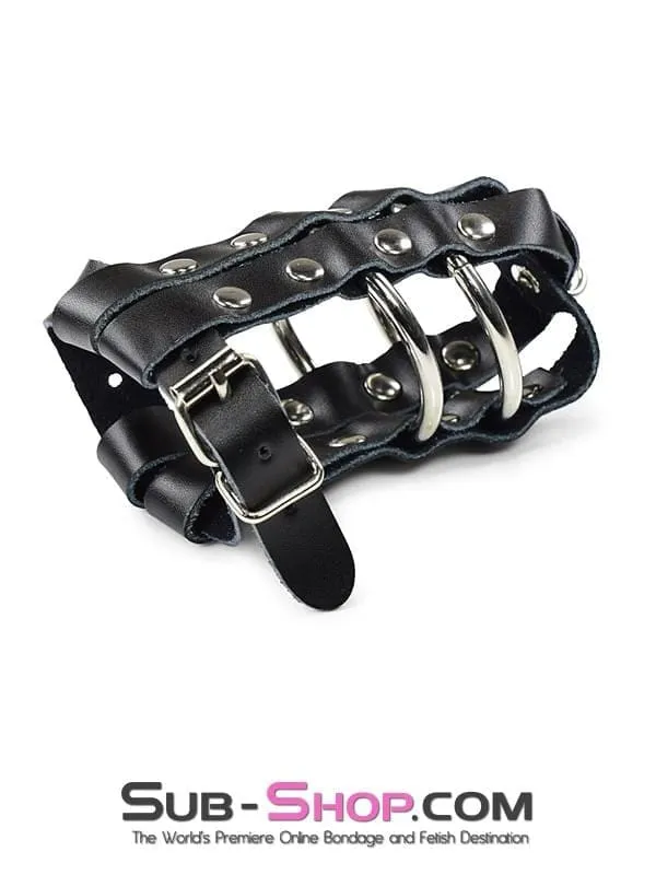 1797DL-SIS      Sissy Minx Lockable Cock & Balls Cage with Lead Ring Tip