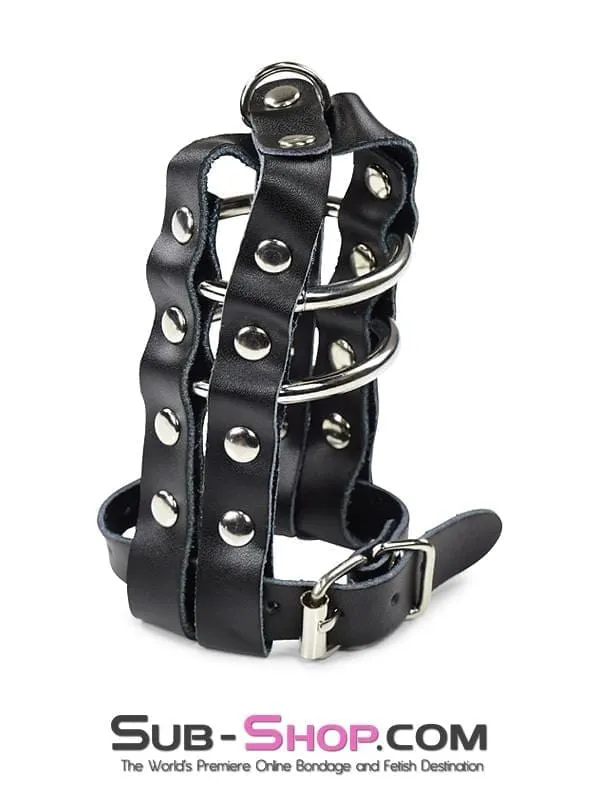 1797DL-SIS      Sissy Minx Lockable Cock & Balls Cage with Lead Ring Tip