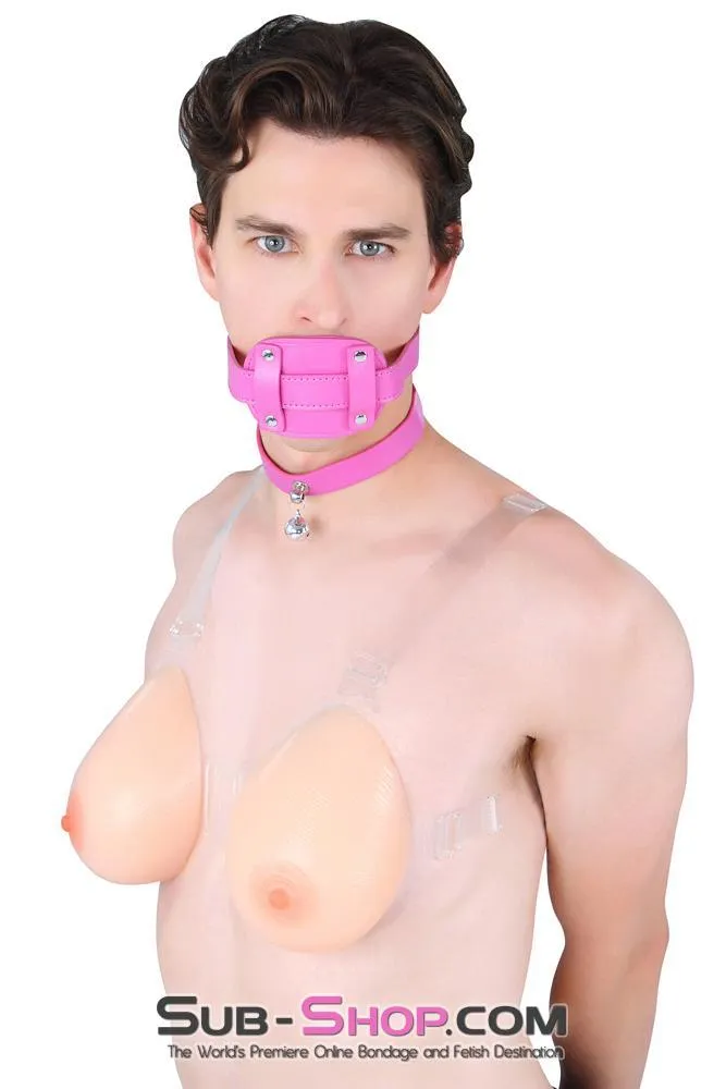 5709RS-SIS      Pretty Sissy Bimbo Sissy Training Cock Sucker Hot Pink Locking Penis Gag
