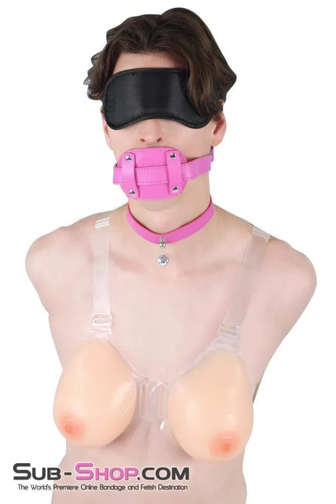 5709RS-SIS      Pretty Sissy Bimbo Sissy Training Cock Sucker Hot Pink Locking Penis Gag