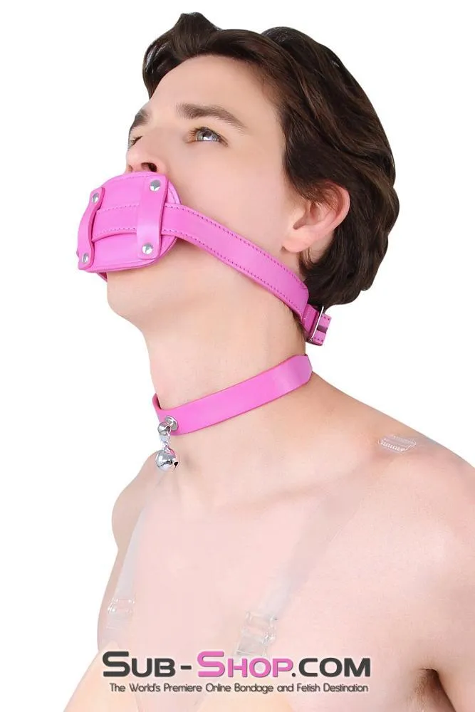5709RS-SIS      Pretty Sissy Bimbo Sissy Training Cock Sucker Hot Pink Locking Penis Gag