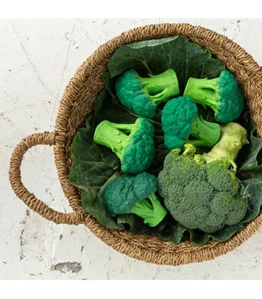 Brucy The Broccoli