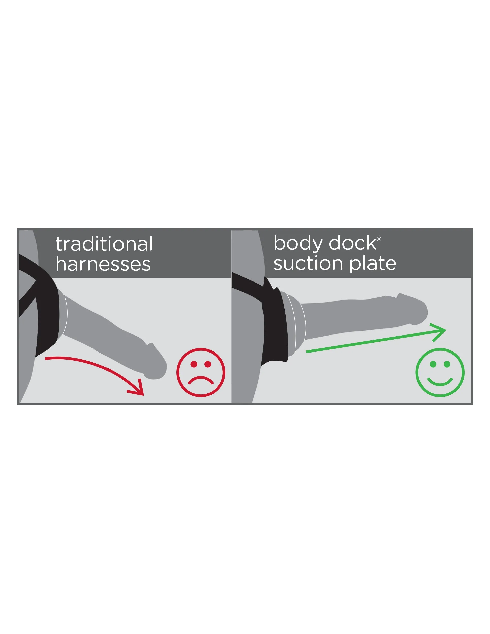 Dillio Platinum Body Dock SE Pegging Kit (5)
