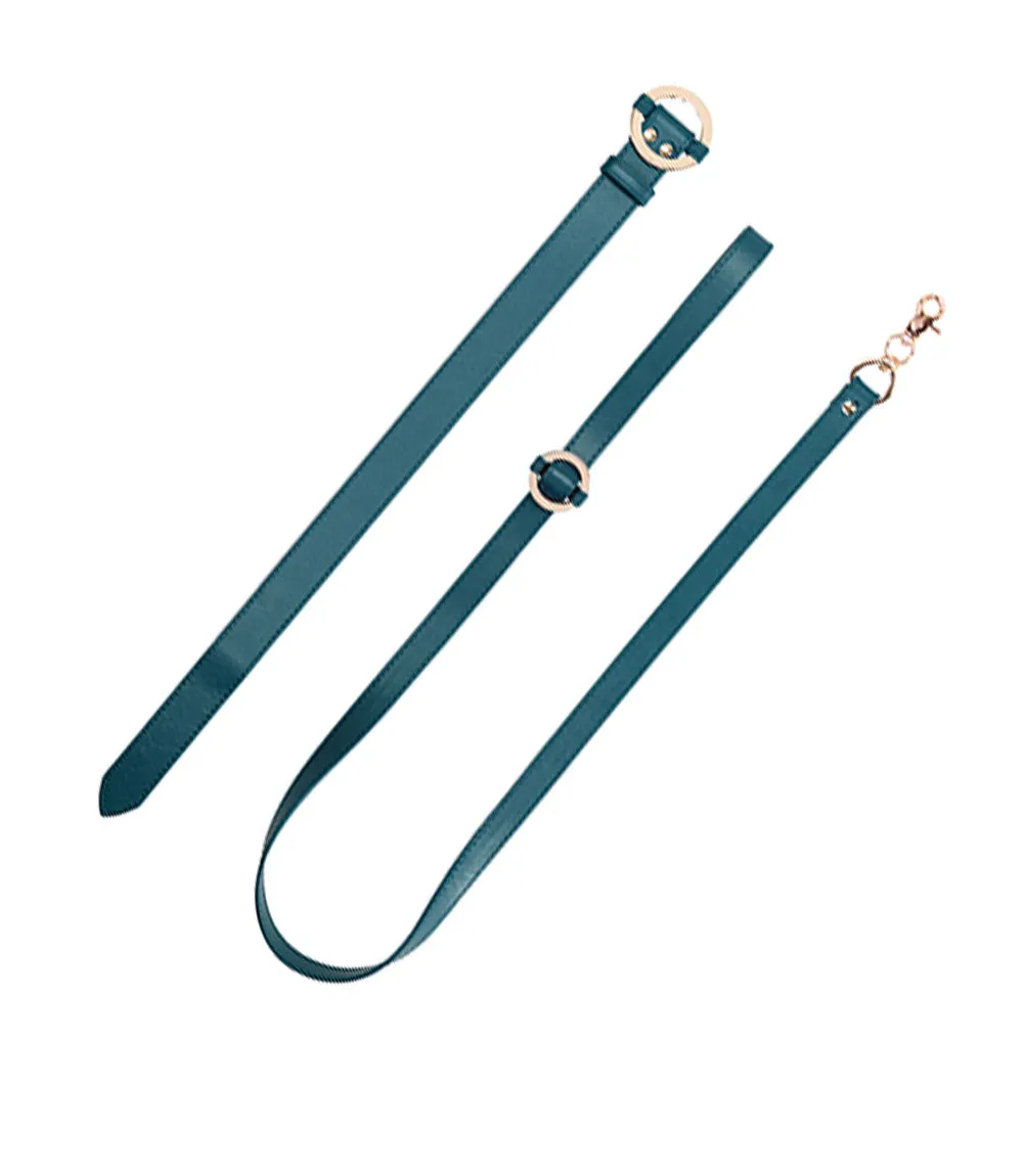 Halo Collar & Leash