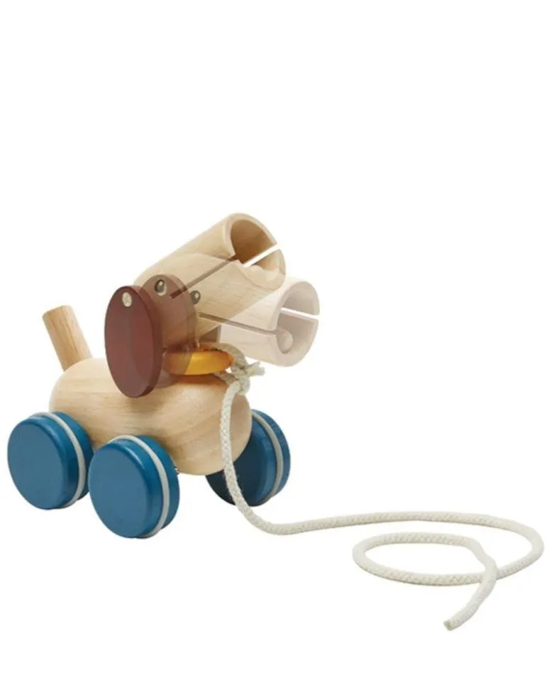 Push & Pull Puppy