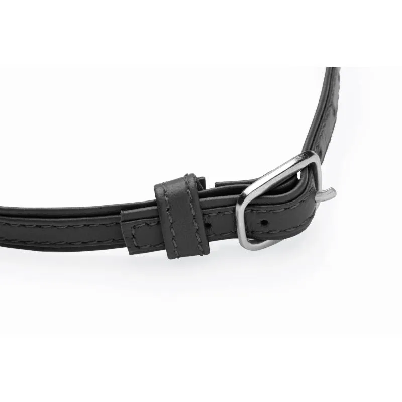 Sex Pet Leather Choker w/ Silver Ring Black