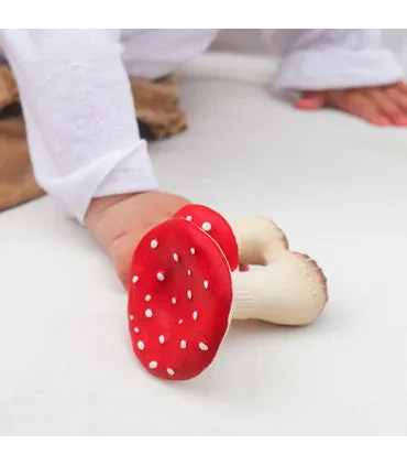 Spot The Mushroom